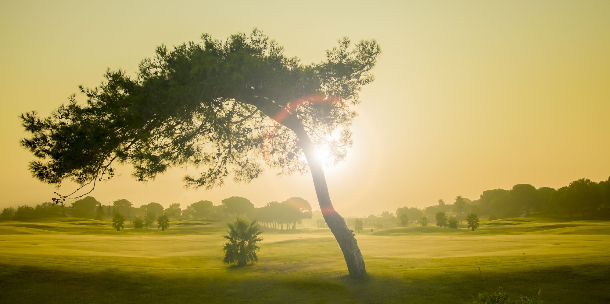 Kompas Novo mesto d.o.o., KNMtravel, Počitnice in potovanja, Golf počitnice, Turčija