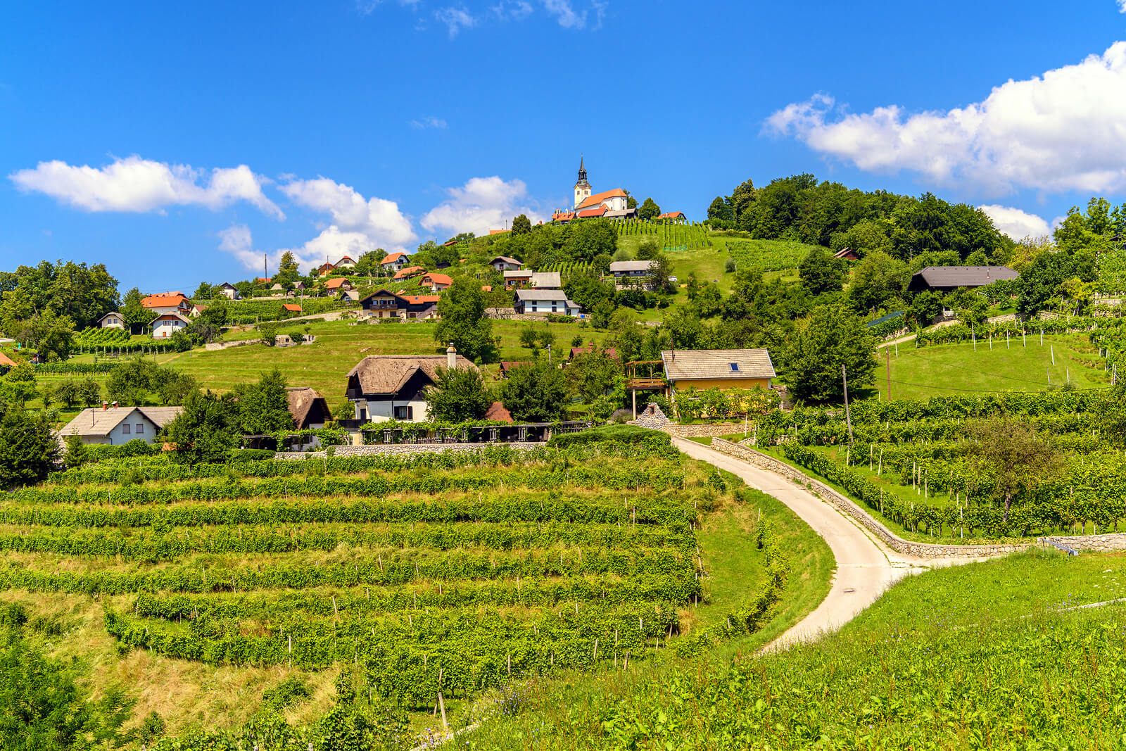 Kompas Novo mesto d.o.o., KNMtravel, Dolenjska ekskluziv, za izbran okus