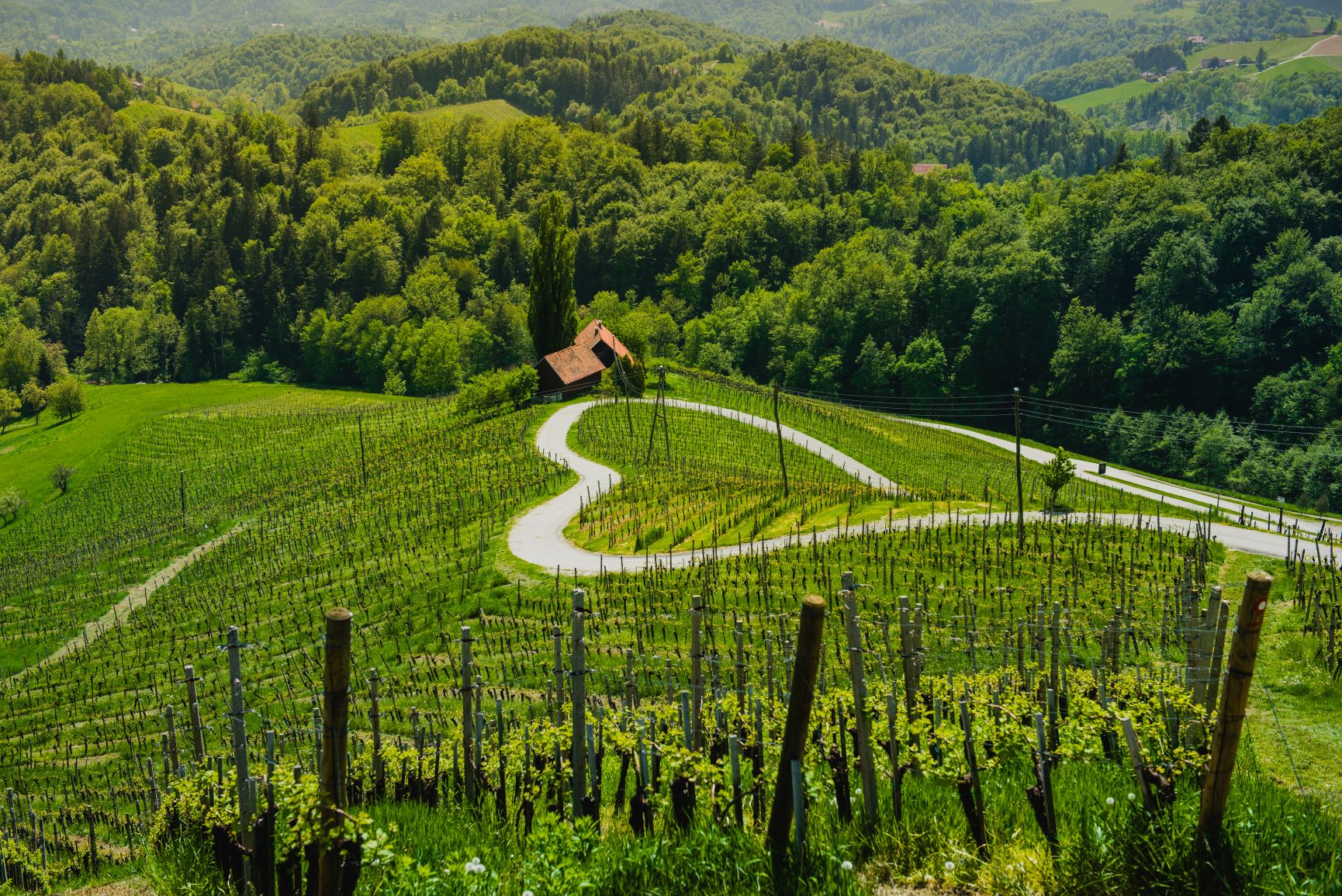 Kompas Novo mesto d.o.o., KNMtravel, Zaključene skupine, Slovenija