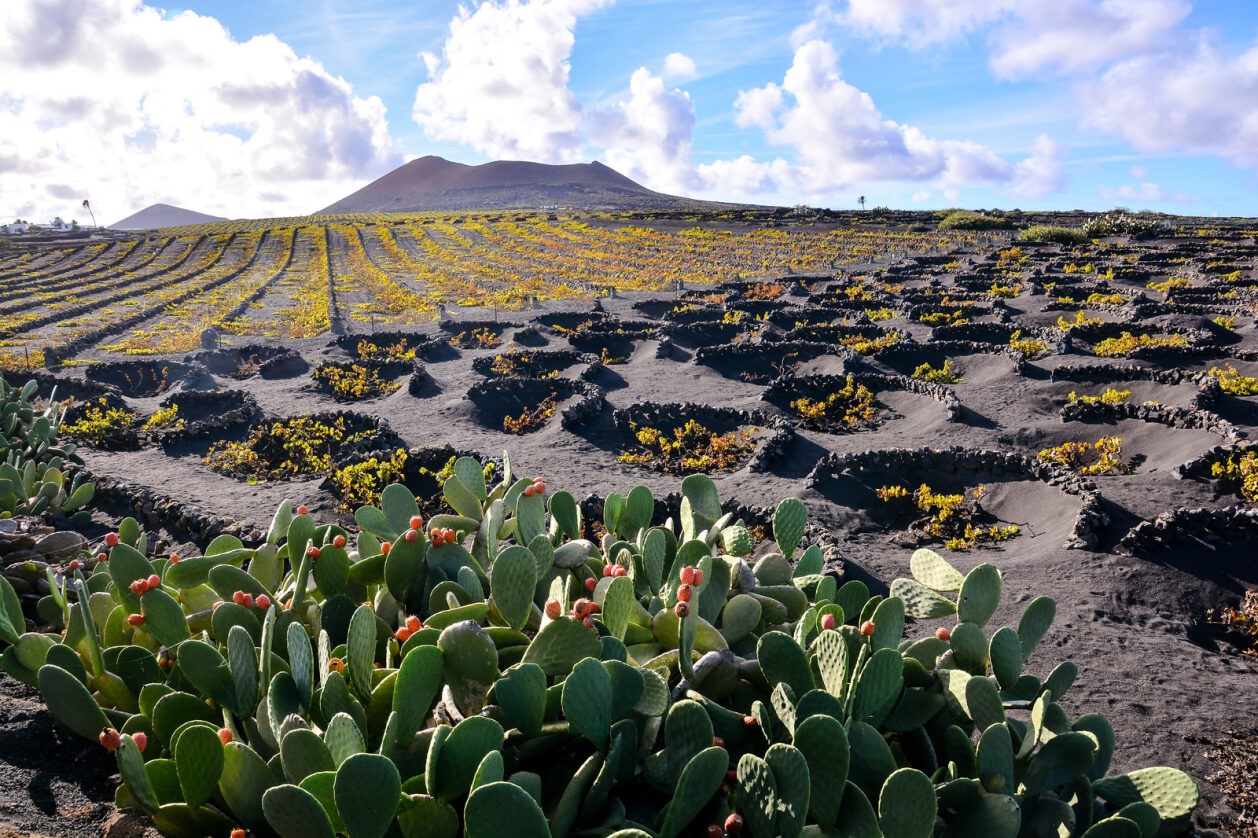 Kompas Novo mesto d.o.o., KNMtravel, Počitnice, Potovanja, Španija, Lanzarote