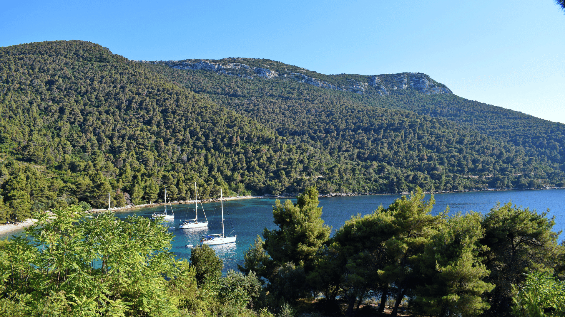 ompas Novo mesto d.o.o., KNMtravel, Počitnice in potovanja, Hrvaška, Dalmacija